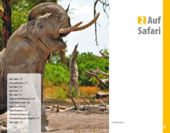 Tansanias Nationalparks, Sansibar (mit Safari-Tipps) - Abbildung 2