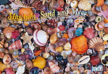 Muscheln, Sand und Meer