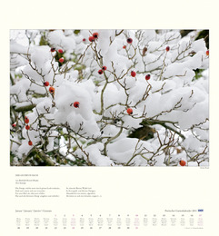 DuMonts poetischer Gartenkalender - Abbildung 1