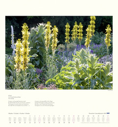 DuMonts poetischer Gartenkalender - Abbildung 10