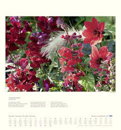 DuMonts poetischer Gartenkalender - Abbildung 11