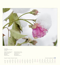 DuMonts poetischer Gartenkalender - Abbildung 12