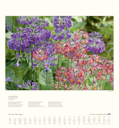 DuMonts poetischer Gartenkalender - Abbildung 5