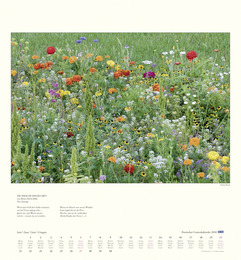 DuMonts poetischer Gartenkalender - Abbildung 6