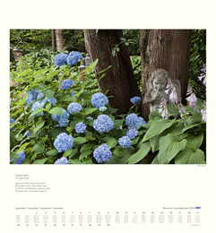 DuMonts poetischer Gartenkalender - Abbildung 9