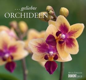 ...geliebte Orchideen 2013