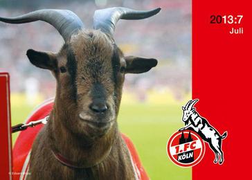 1. FC Köln 2012/2013
