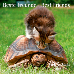 Beste Freunde/Best Friends 2015