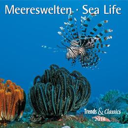 Meereswelten/Sea Life 2014