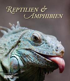 Reptilien & Amphibien 2014