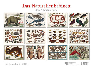 Das Naturalienkabinett des Albertus Seba 2014 - Cover