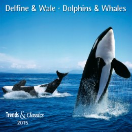 Delfine & Wale/Dolphins & Whales 2015