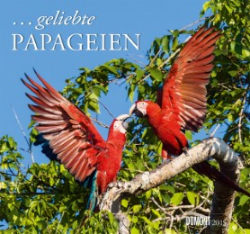 ...geliebte Papageien 2015
