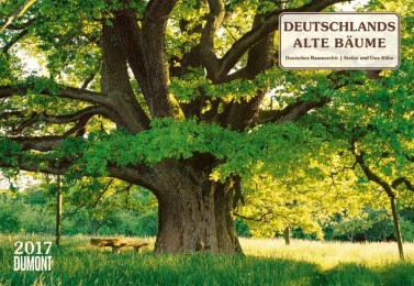 Deutschlands alte Bäume 2017