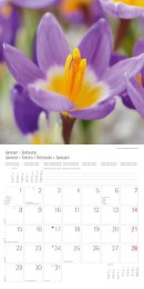Blumen und Blüten 2018 - Abbildung 1