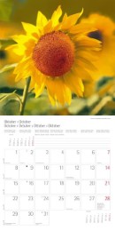 Blumen und Blüten 2018 - Abbildung 10