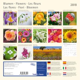 Blumen und Blüten 2018 - Abbildung 14