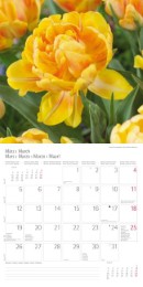 Blumen und Blüten 2018 - Abbildung 3