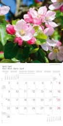 Blumen und Blüten 2018 - Abbildung 4