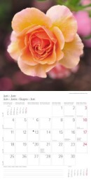 Blumen und Blüten 2018 - Abbildung 6