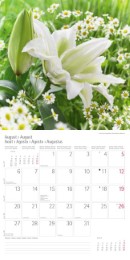 Blumen und Blüten 2018 - Abbildung 8