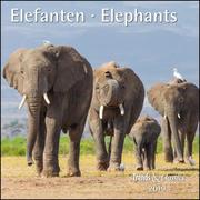 Elefanten/Elephants 2019