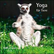 Yoga für Tiere 2019