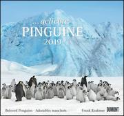 ... geliebte Pinguine 2019