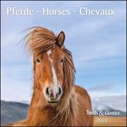 Pferde/Horses 2020 - Cover