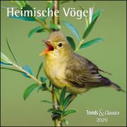 Heimische Vögel 2020 - Cover
