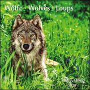 Wölfe/Wolves 2020 - Cover