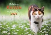 DuMonts Katzenkalender 2020