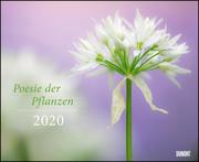 Poesie der Pflanzen 2020
