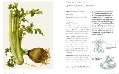 Gemüse für den Gourmetgärtner - Abbildung 3
