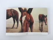 Pferde in der Kunst - Abbildung 7