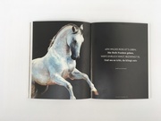 Pferde in der Kunst - Abbildung 11