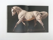 Pferde in der Kunst - Abbildung 13