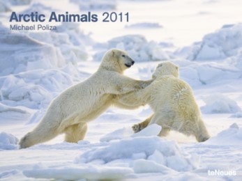 Artic Animals - Cover