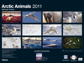Artic Animals - Abbildung 1