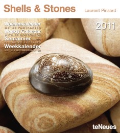 Shells & Stones