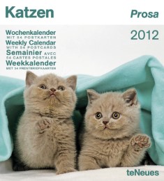Katzen Prosa 2012