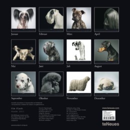 Hunde/Dogs Gods 2013 - Abbildung 1