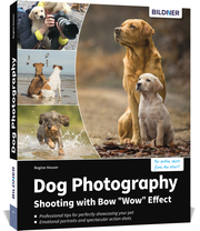 Dog Photography - Shooting with Bow 'Wow' Effect