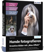 Hunde fotografieren - Kreative Bilder mit 'Wau-Effekt'