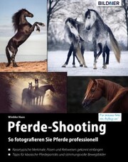 Pferde-Shooting