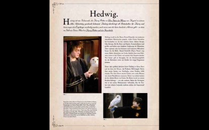 Harry Potter: Die Welt der magischen Wesen - Abbildung 11