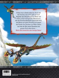 Dragons - Hicks' größte Abenteuer - Abbildung 1