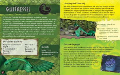 DreamWorks Dragons: Der große Drachenführer - Abbildung 4