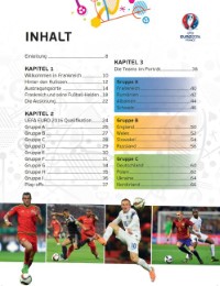 UEFA EURO 2016 FRANCE: Das offizielle Buch zur EM 2016 - Abbildung 6