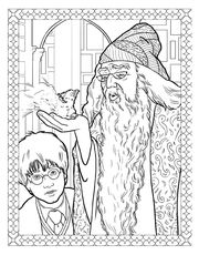 Harry Potter: Magische Wesen Malbuch - Abbildung 1